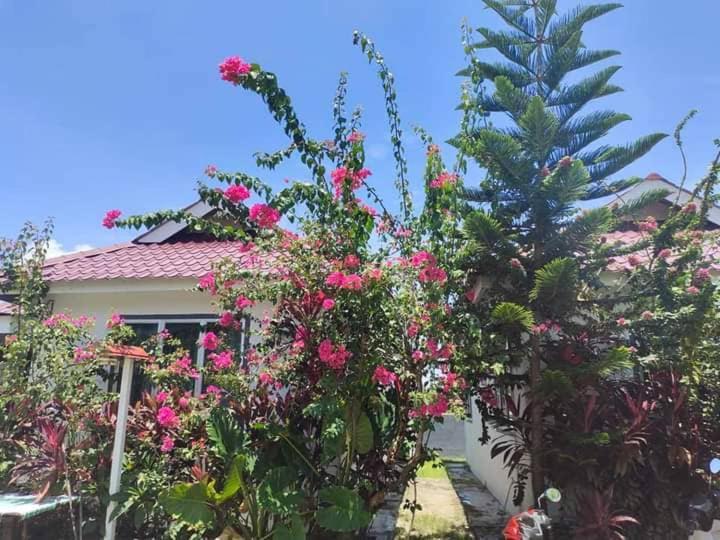 Langkawi Homestay Bunga Padi كواه المظهر الخارجي الصورة